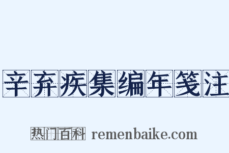 辛弃疾集编年笺注是什么意思的图片
